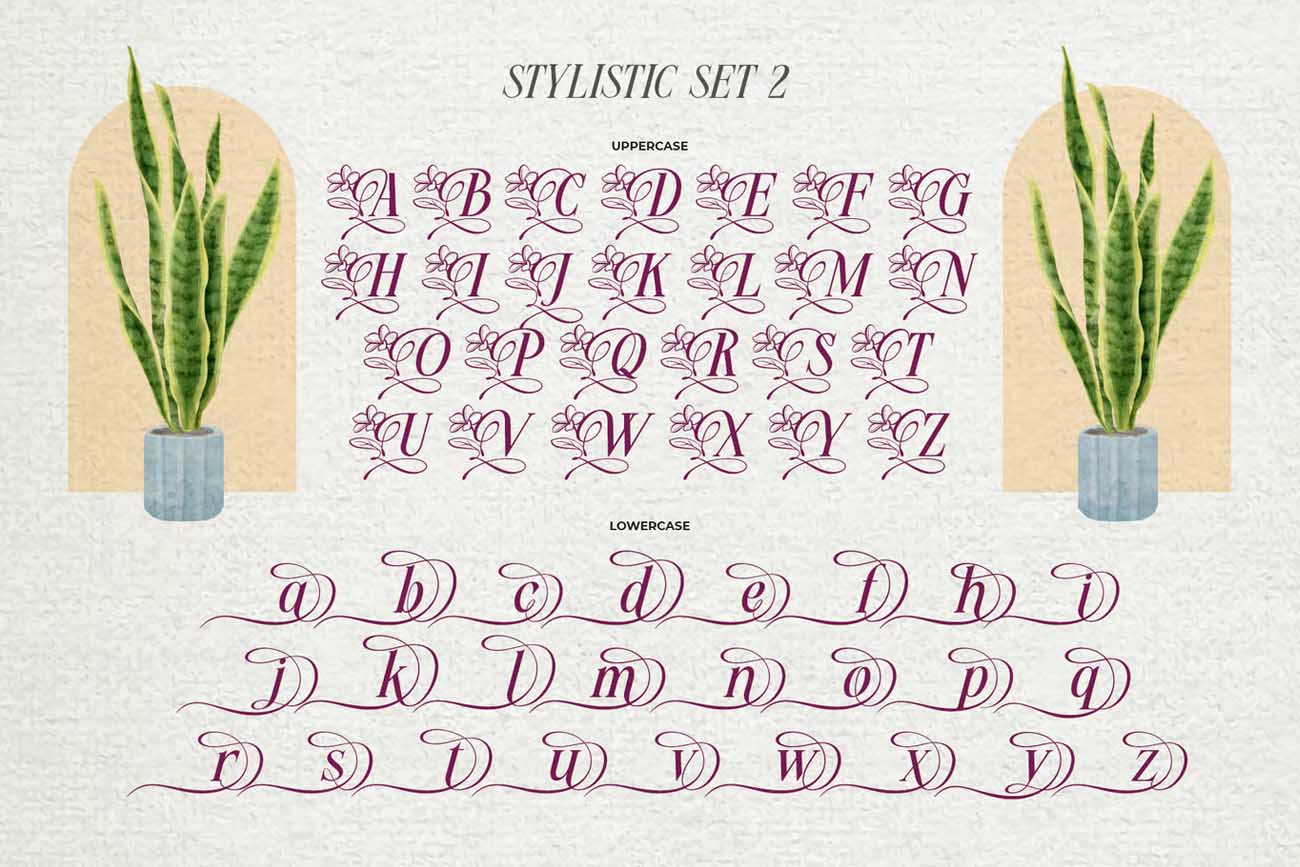 Font chữ trang trí uốn lượn TH Meillona Việt hóa
